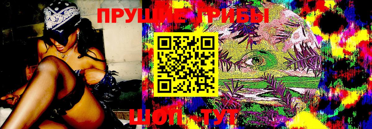 Галлюциногенные грибы GOLDEN TEACHER Тайшет