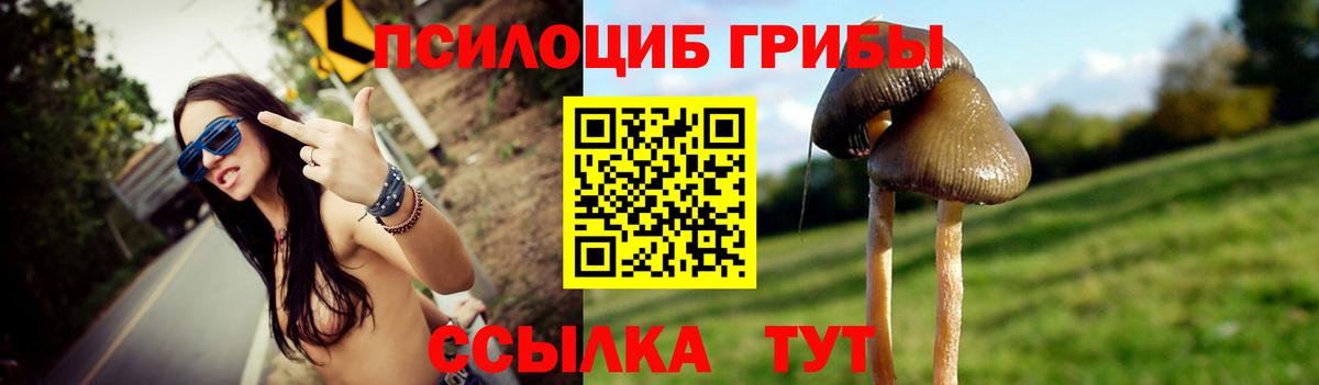 Псилоцибиновые грибы Psilocybe  Вход с VPN  Тайшет  Галлюциногенные грибы мухоморы 