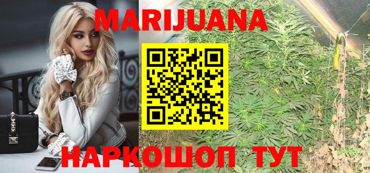 Тайшет  Марихуана конопля  Вход с VPN  Конопля сатива  Каннабис OG Kush 